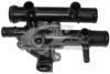 NISSA 1106100QAK Thermostat, coolant